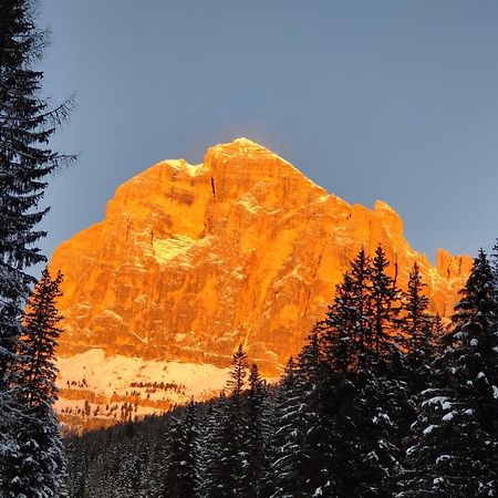 Daniela Apartment Cortina dʼAmpezzo Dış mekan fotoğraf