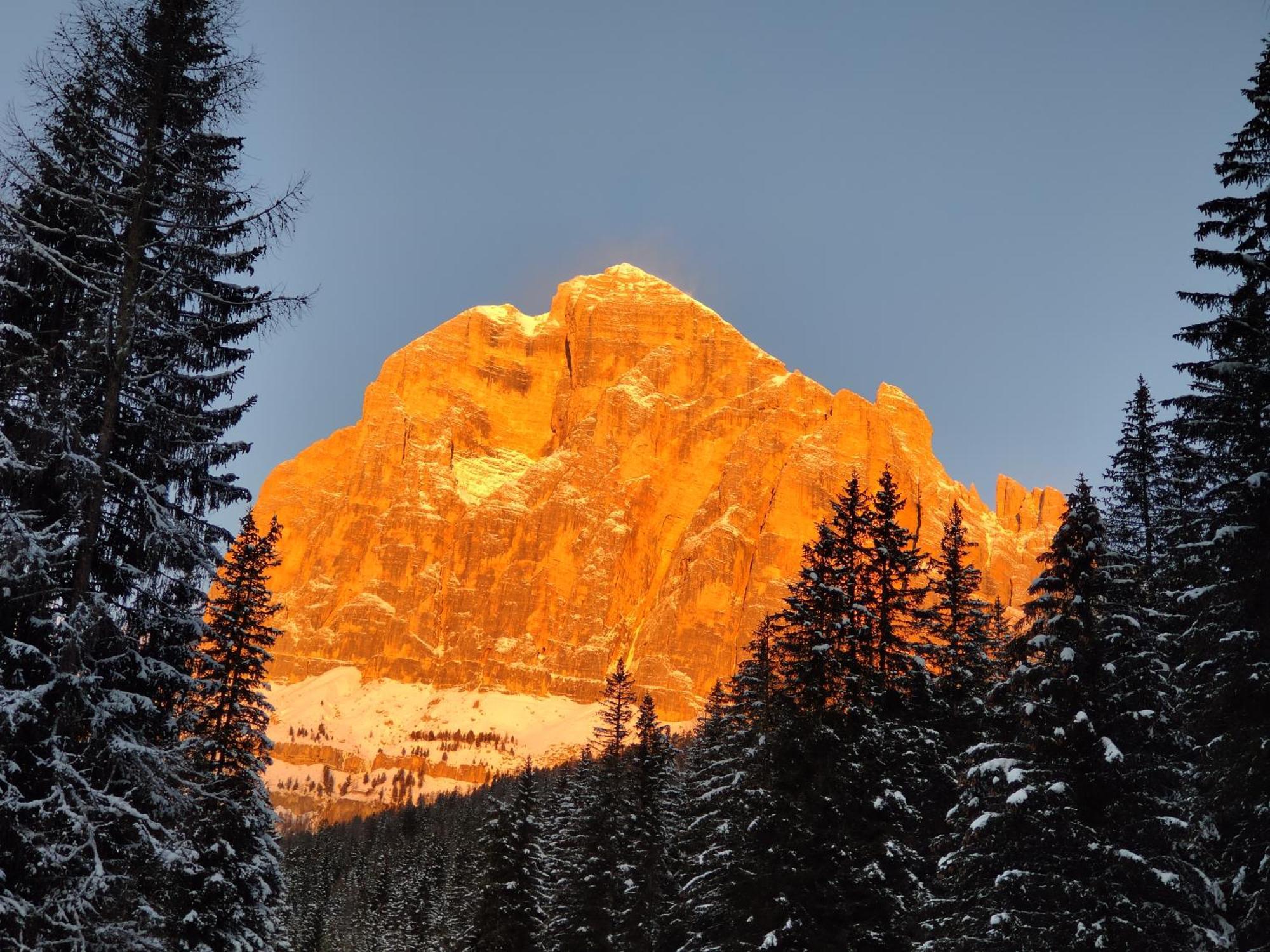 Daniela Apartment Cortina dʼAmpezzo Dış mekan fotoğraf