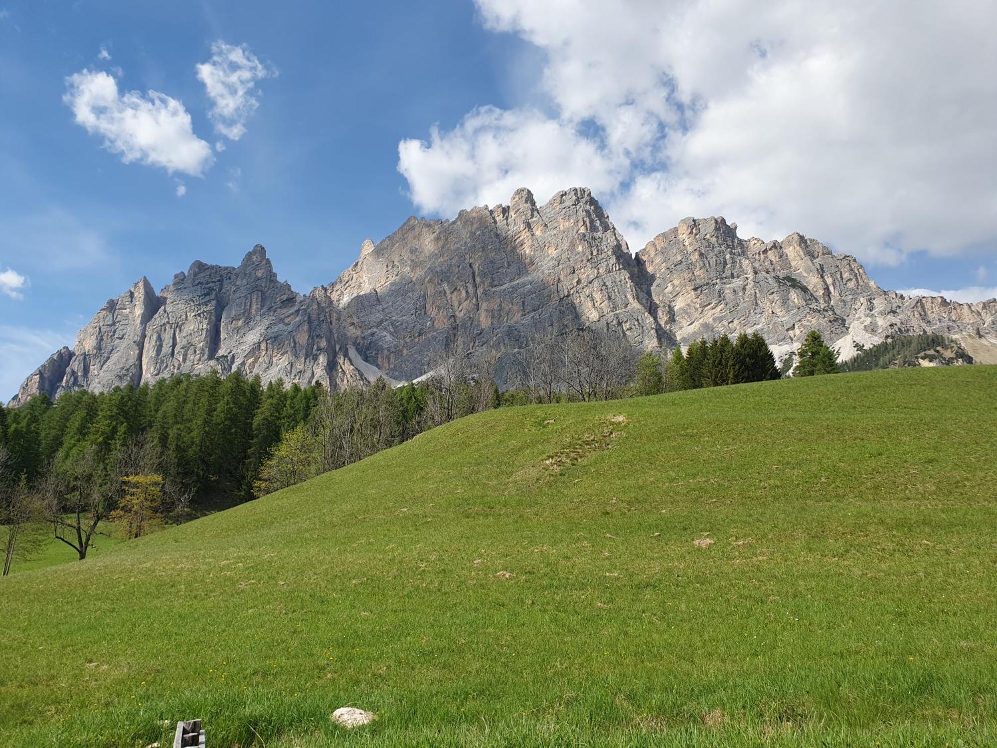 Daniela Apartment Cortina dʼAmpezzo Dış mekan fotoğraf