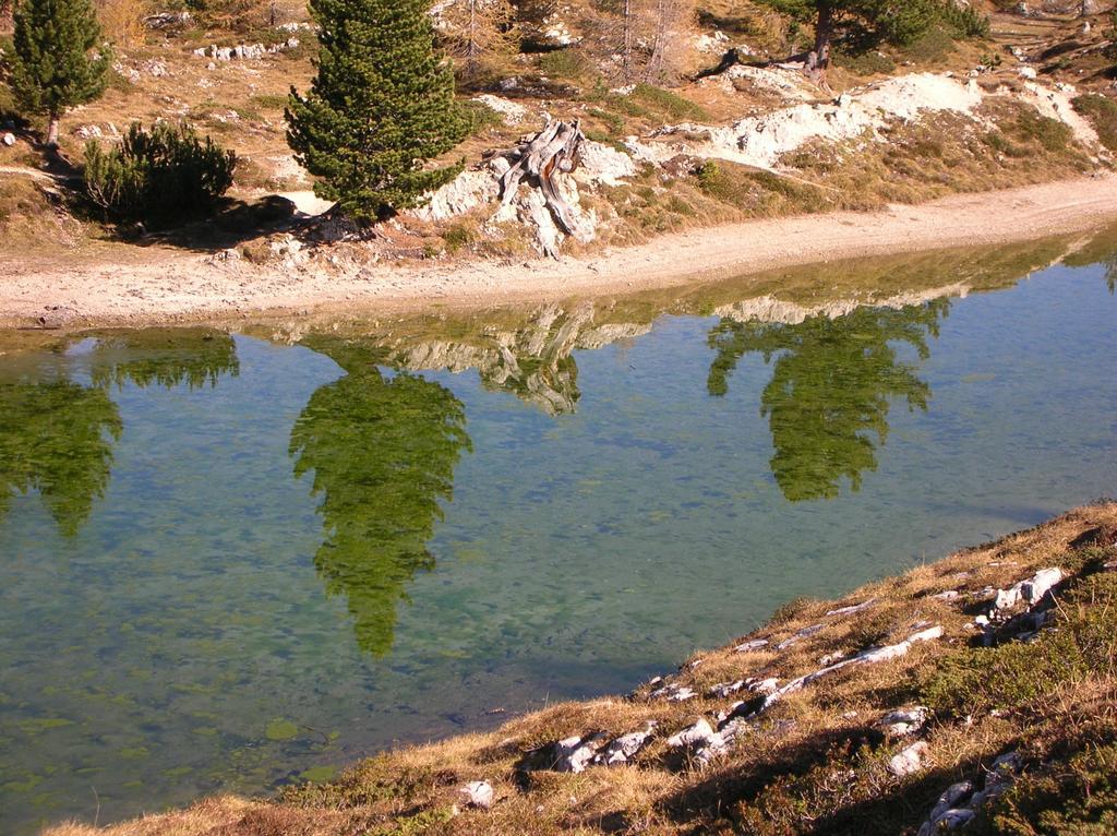 Daniela Apartment Cortina dʼAmpezzo Dış mekan fotoğraf