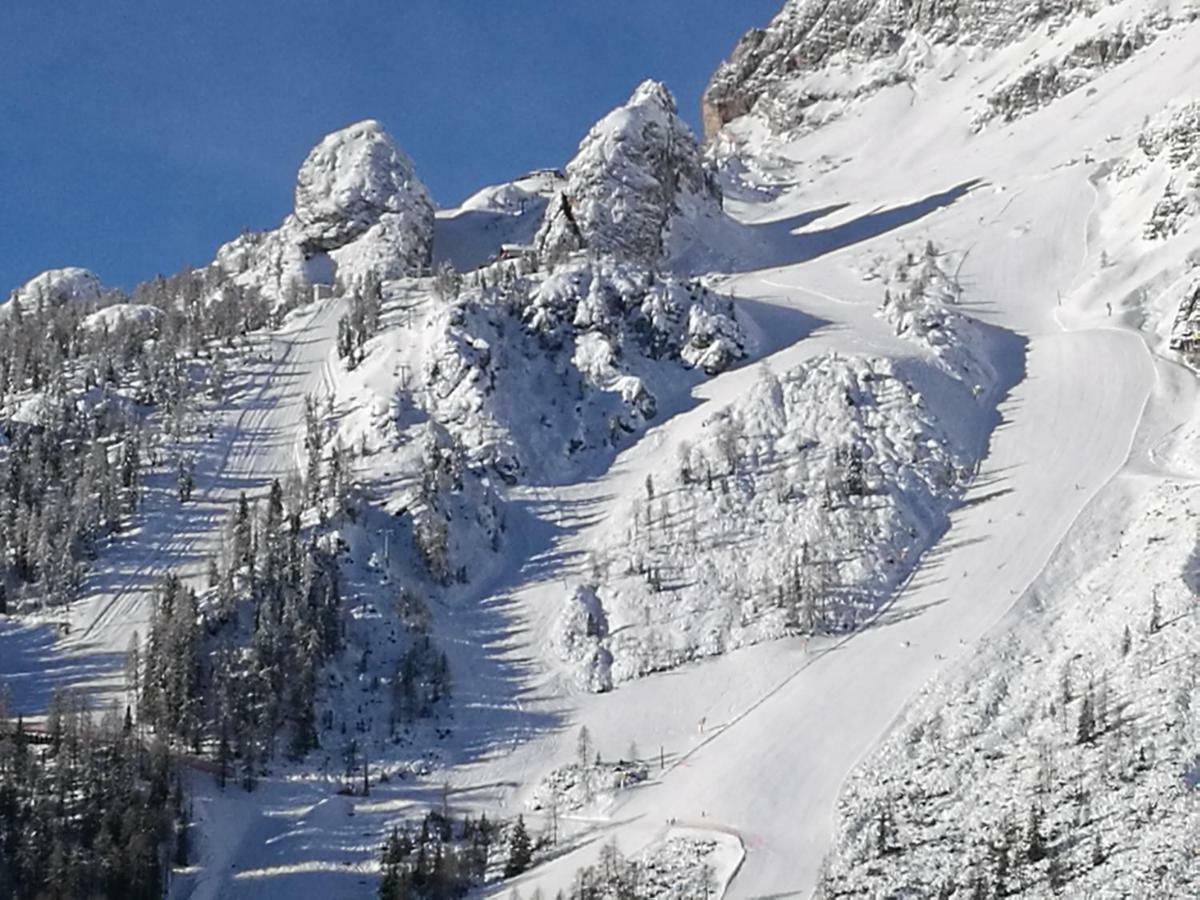 Daniela Apartment Cortina dʼAmpezzo Dış mekan fotoğraf