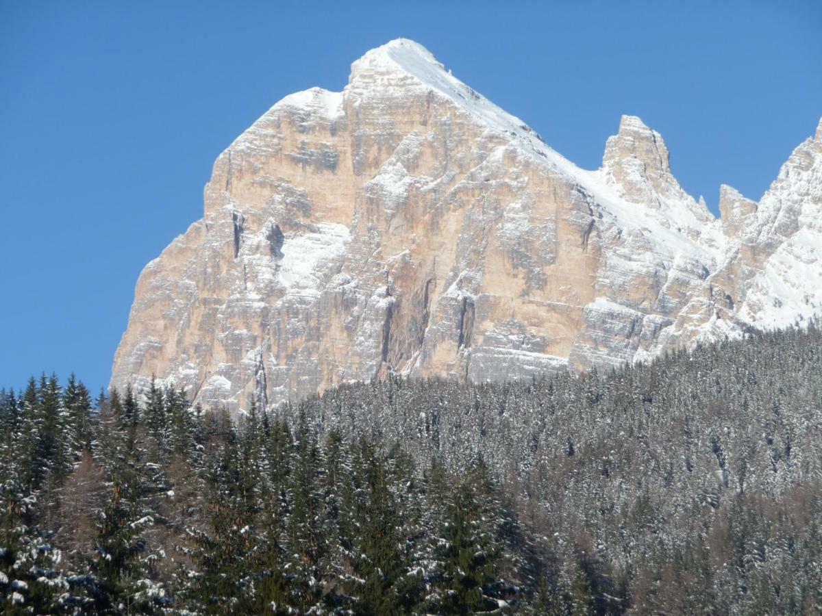 Daniela Apartment Cortina dʼAmpezzo Dış mekan fotoğraf